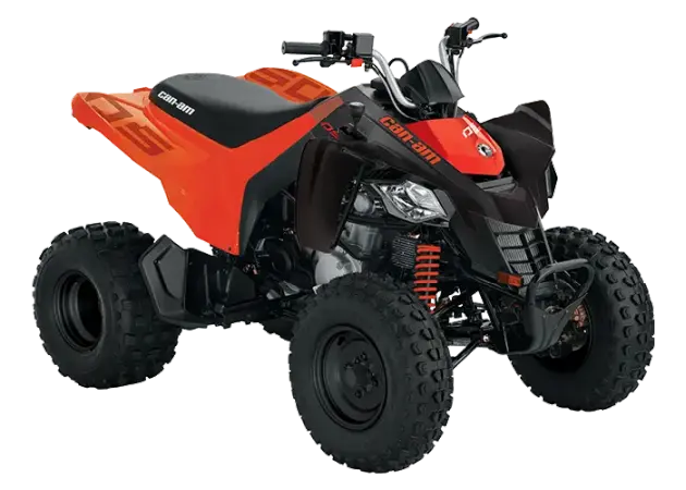 Can-am DS