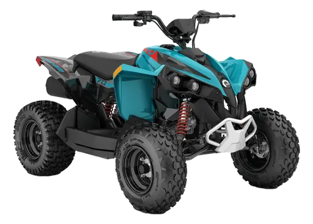 Can-am Renegade EFI